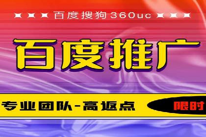 成功案例：网络推广与竞价广告的完美结合
